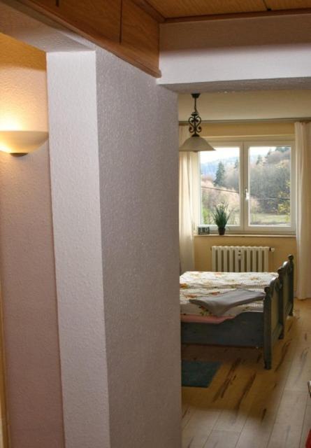 Ferienwohnung Wolf Gräfenroda エクステリア 写真
